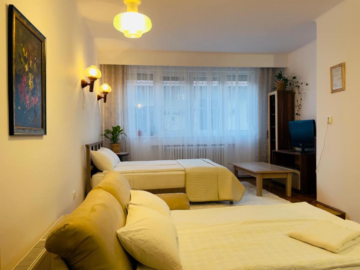 Little Cute Central House Appartement Satu Mare Buitenkant foto